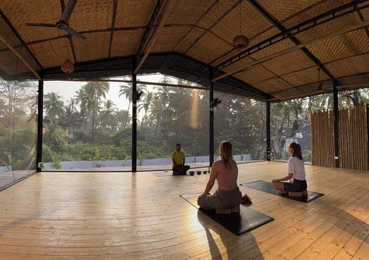 Serene yoga practice under palms