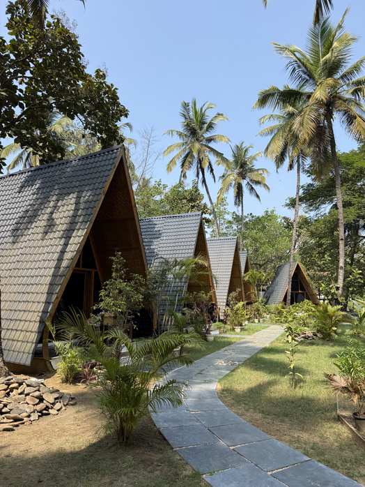 Pathway leading through tropical plants to A-frame huts